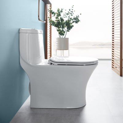 0.8/1.28 GPF Dual Flush Elongated One Piece Toilets Water Efficient
