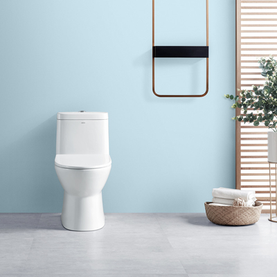 5L Single Piece Commode White Dual Flush Elongated Standard Height