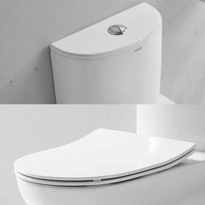 Dual Flush Elongated One Piece Toilet 1.3Gpf Modern Ceramic Material
