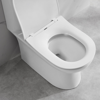 Dual Flush Elongated One Piece Toilet 1.3Gpf Modern Ceramic Material
