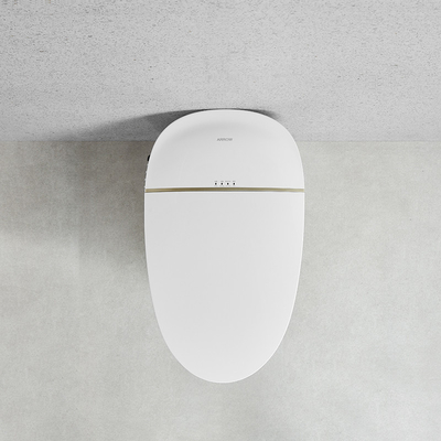 Automatic Flush One Piece Smart Toilet Seat Heating 690x410x470mm