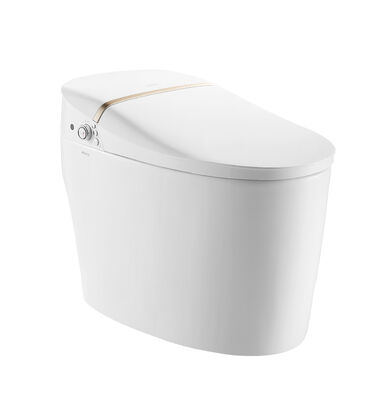 Arrow Modern Smart Toilet with Siphon Jet Flushing One Piece Structure and Self-cleaning Smooth Glazed Ceramic