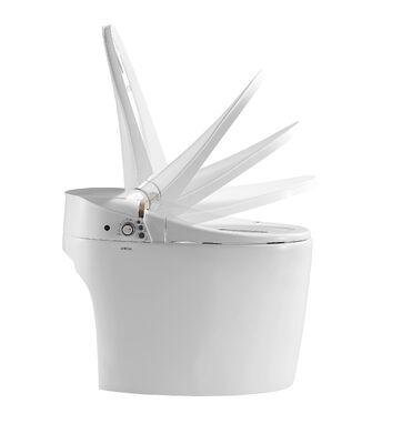 Arrow Modern Smart Toilet with Siphon Jet Flushing One Piece Structure and Self-cleaning Smooth Glazed Ceramic
