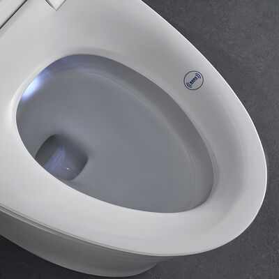 ARROW Intelligent Bidet Toilet with Self-cleaning Glazed Ceramic and Siphon Jet Flushing in One Piece Modern Design